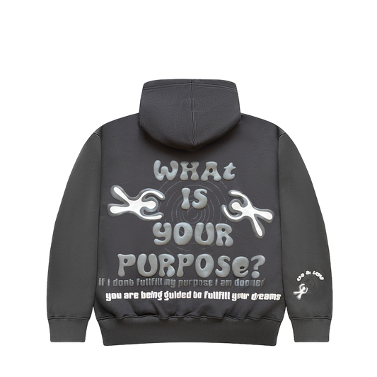 Purpose Hoodie (grey)