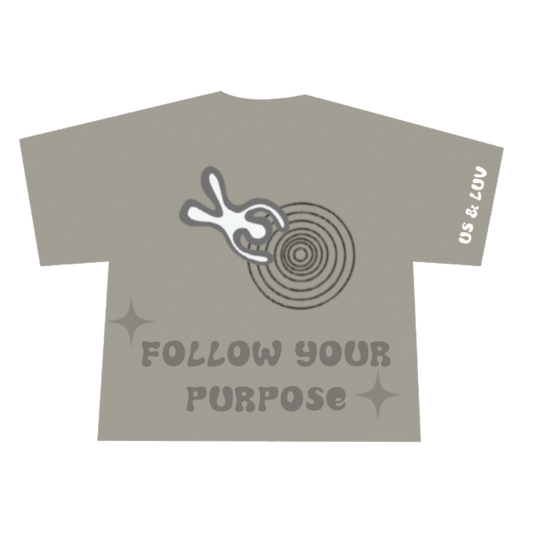 Boxy t-shirt, soft fabric, heavy weight, follow your purpose t-shirt 